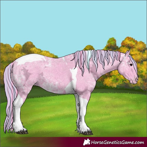 Horse Color:Painted Watercolor Black Ice Tobiano Appaloosa 