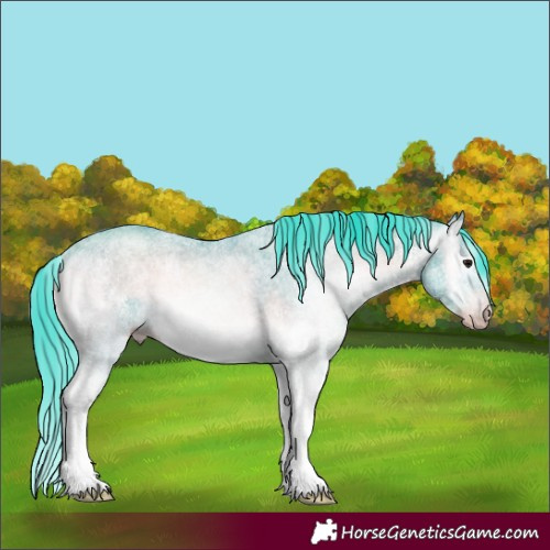 Horse Color:Gray Watercolor White Spotted Classic Champagne Onyx Rabicano 