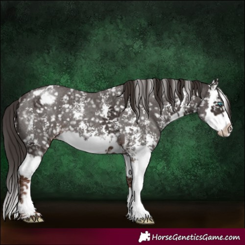 Horse Color:Liver Chestnut Sabino Splash Snowcap