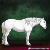 Horse Color:Chestnut Sabino Splash Snowflake Varnish