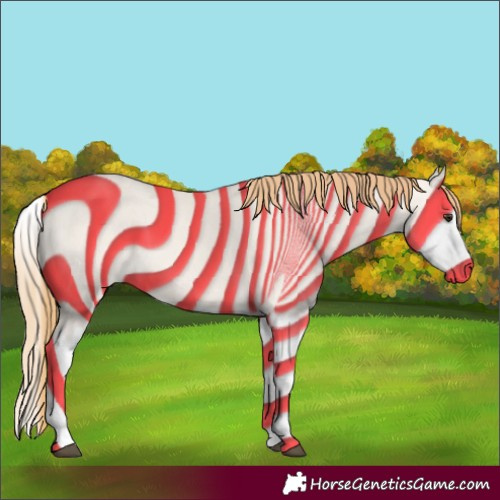 Horse Color:Red Dun Splash
