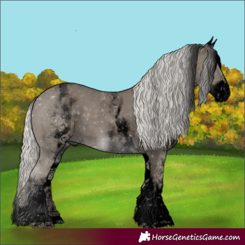Horse Color:Void White Spotted Silver Smoky Black 