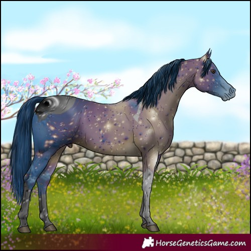 Horse Color:ERROR: UNKNOWN ANOMALY