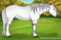 Horse Color:Chocolate Silver Bay Chinchilla Onyx