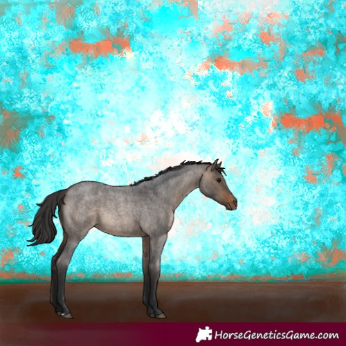 Horse Color:Brown Roan Dun Rabicano 