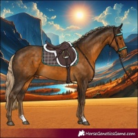 Horse Color:Chocolate Palomino