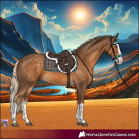 Horse Color:Chocolate Palomino Splash 