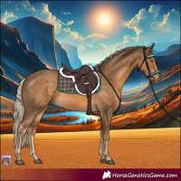 Horse Color:Chocolate Palomino 