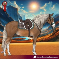 Horse Color:Chocolate Palomino 