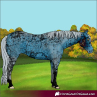 Horse Color:ERROR: UNKNOWN ANOMALY