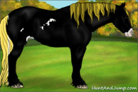 Horse Color:Painted Silver Brown Splash Appaloosa 