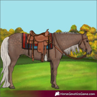 Horse Color:Silver Black 