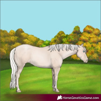 Horse Color:Gold Cream Champagne Pearl 