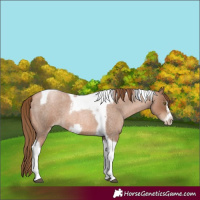 Horse Color:Liver Red Roan Pearl Tobiano Frame 