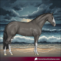 Horse Color:Grullo Sabino 