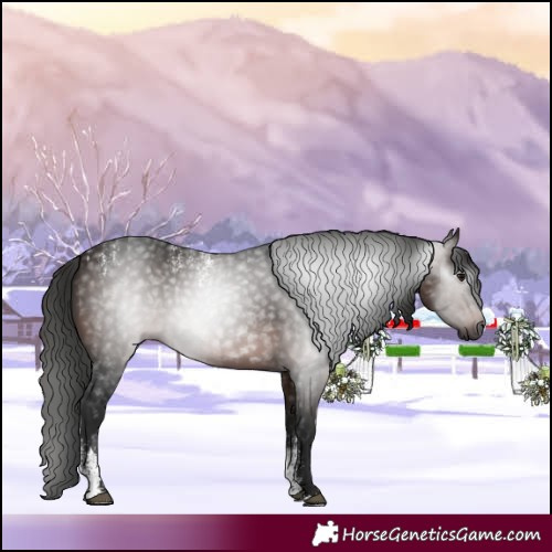 Horse Color:Powder White Gray White Spotted Bay 