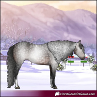Horse Color:Powder White Gray White Spotted Bay 