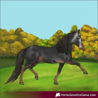 Horse Color:Gray Liver Chestnut 