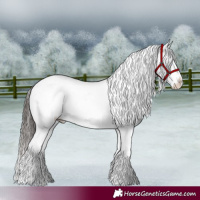 Horse Color:Liver Chestnut Sabino Splash Snowflake Varnish