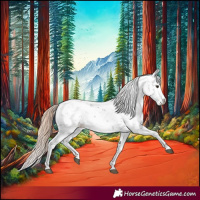 Horse Color:Liver Chestnut Sabino Splash Appaloosa 