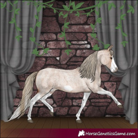 Horse Color:Red Dun Roan Splash Frame Rabicano