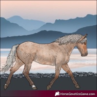 Horse Color:Silver Bay Roan Dun 