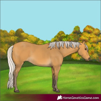 Horse Color:Silver Buckskin 