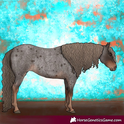 Horse Color:Liver Red Roan Rabicano 