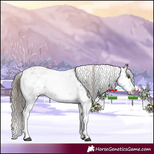 Horse Color:Liver Chestnut Sabino Splash Appaloosa 