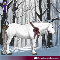 Horse Color:Liver Chestnut Sabino Splash Appaloosa 