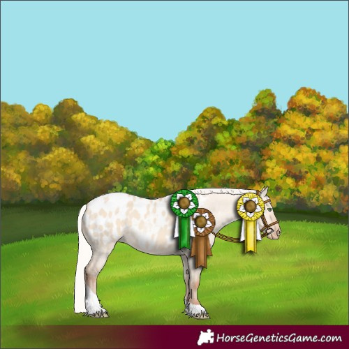 Horse Color:Silver Sable Champagne Dun Tobiano Appaloosa 