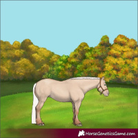 Horse Color:Silver Classic Champagne Dun Sabino