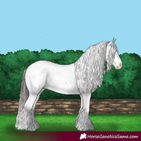 Horse Color:Liver Chestnut Sabino Splash Snowflake Varnish