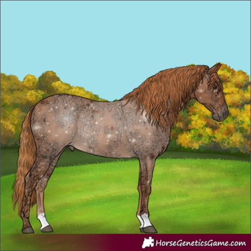 Horse Color:Chestnut Ice 