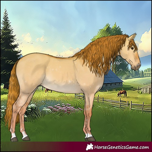 Horse Color:Red Dun 