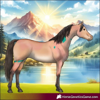 Horse Color:Bay Dun 