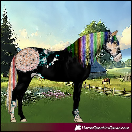 Horse Color:Painted White Spotted Palomino 