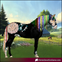 Horse Color:Painted White Spotted Palomino 