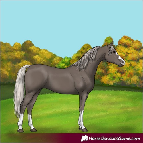 Horse Color:Silver Black 
