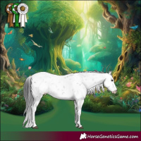 Horse Color:Brown Sabino Appaloosa 