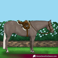 Horse Color:Silver Black 