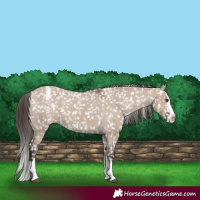 Horse Color:Liver Red Dun Sabino Splash Snowflake Varnish