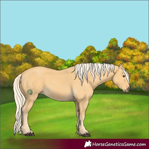 Horse Color:Palomino