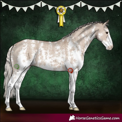 Horse Color:Silver Grullo Sabino 