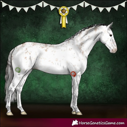 Horse Color:White Spotted Bay Dun Sabino 
