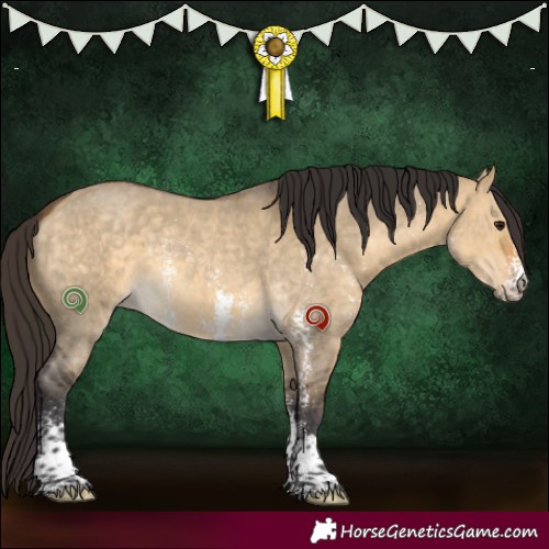 Horse Color:Buckskin Dun Sabino 