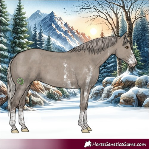 Horse Color:Silver Grullo Sabino 