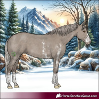 Horse Color:Silver Grullo Sabino