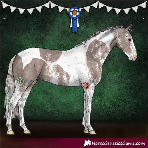 Horse Color:Silver Black Sabino Tobiano 