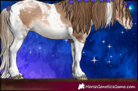 Horse Color:Liver Chestnut Pearl Tobiano